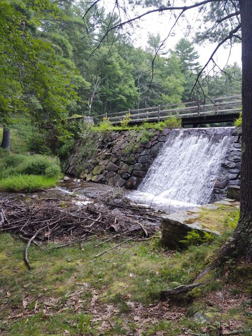 A small waterfall cascades over a stone wall, surrounded by lush greenery and trees in a serene natural setting.