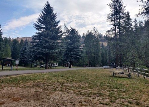 A serene campsite surrounded by tall pine trees, with grassy areas and a few parked RVs in the background.