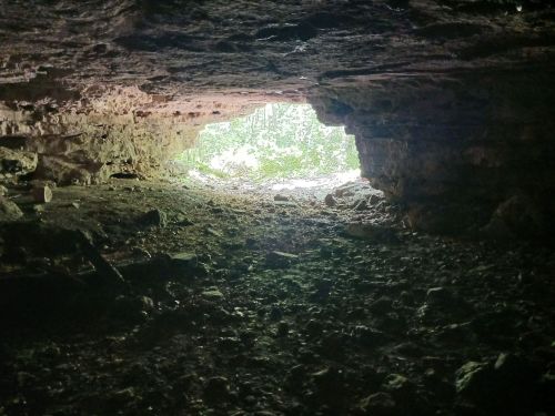 A dimly lit cave interior with a bright opening leading to a forested area outside.