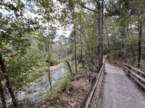 A wooden walkway beside a serene river, surrounded by lush green trees and foliage.