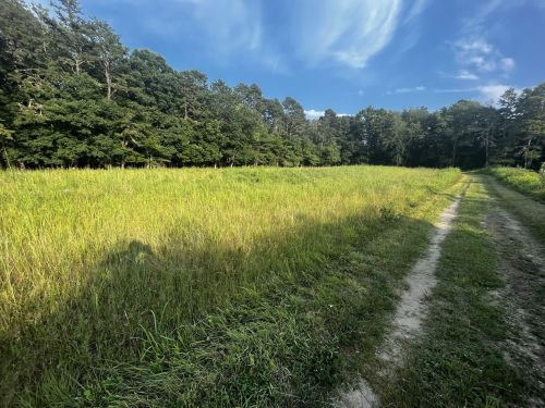A grassy field bordered by trees under a blue sky, with a dirt path running through it.