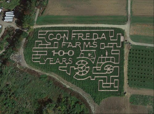 Aerial view of a corn maze celebrating "Confreda Farms 100 Years" with tractor and farm-themed designs.