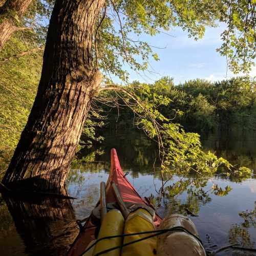 A kayak with yellow paddles rests by a serene lake, surrounded by lush green trees and clear blue skies.