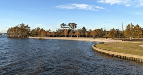 A serene lakeside view with sandy beach, trees with autumn foliage, and a clear blue sky.