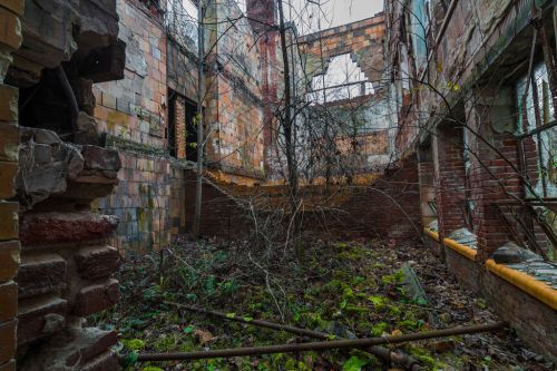 An abandoned, crumbling building interior overgrown with plants and vines, showcasing decaying walls and broken windows.