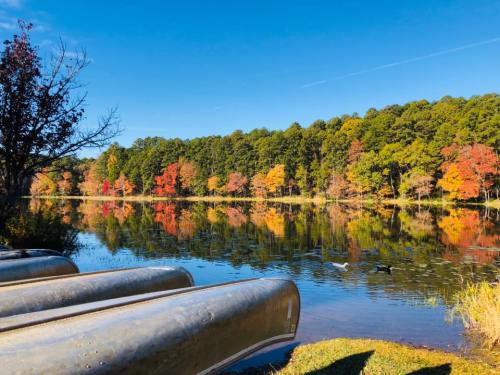 Canoes by a calm lake reflecting vibrant autumn trees under a clear blue sky.
