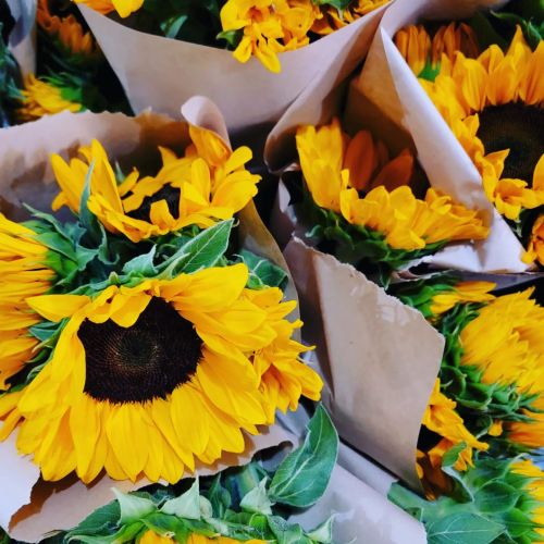 A close-up of vibrant yellow sunflowers arranged in brown paper, creating a cheerful floral display.