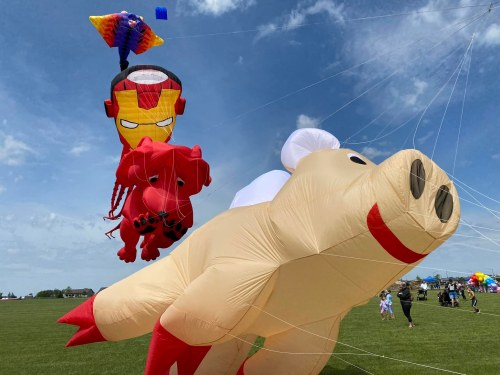 Colorful kites, including a large pig and a red dragon, fly against a blue sky at a kite festival.