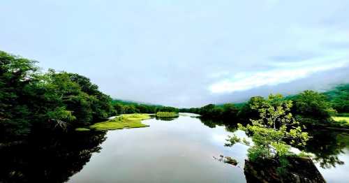 A serene river surrounded by lush greenery and misty clouds, reflecting the tranquil landscape.