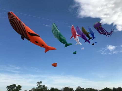Colorful inflatable sea creatures, including whales and an octopus, float against a blue sky with fluffy clouds.