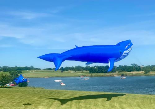A large blue inflatable whale floats above a lake, with boats visible in the water and green hills in the background.