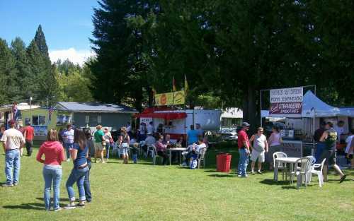 A lively outdoor festival scene with people enjoying food and activities in a grassy area under trees.