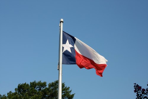 Texas state flag waving against a clear blue sky, with green trees in the background.