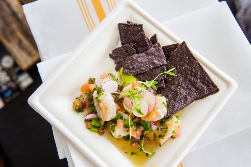 A plate of ceviche with shrimp, diced vegetables, and blue corn tortilla chips, garnished with radishes and herbs.