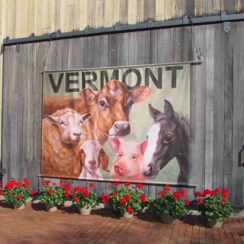 A banner featuring a cow, pig, dog, and horse with the word "VERMONT" above, surrounded by potted red flowers.