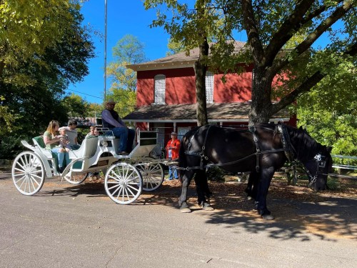 A black horse pulls a white carriage with passengers, parked near a red building under a sunny blue sky.