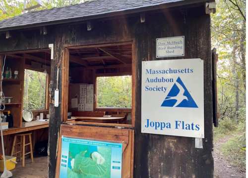 A wooden bird watching shelter with signs for the Massachusetts Audubon Society and Joppa Flats, surrounded by trees.
