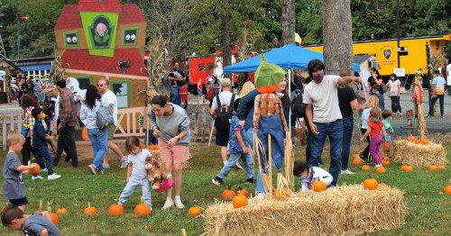 Families and children enjoy a pumpkin patch, picking pumpkins and playing among hay bales and festive decorations.