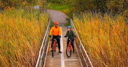Two cyclists on a wooden path surrounded by tall, golden grasses, enjoying a sunny day outdoors.