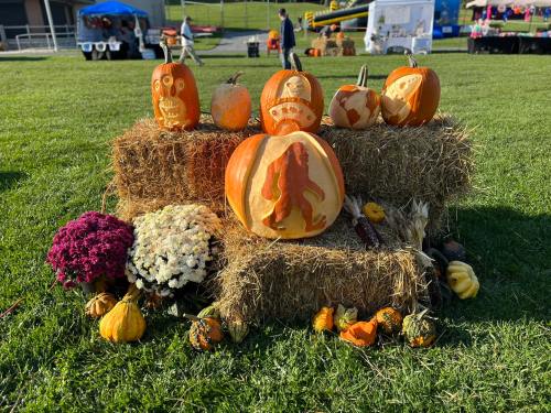 A display of carved pumpkins on hay bales, surrounded by colorful flowers and gourds, set in a grassy area.