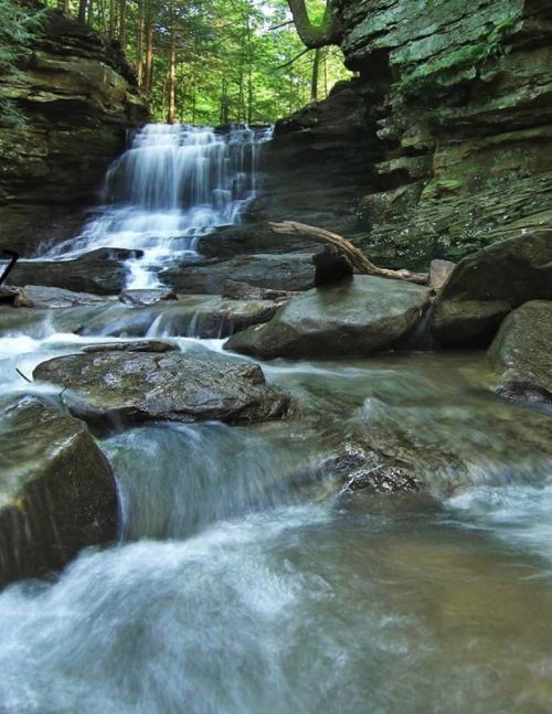 A serene waterfall cascades over rocky terrain, surrounded by lush green trees and a tranquil stream.