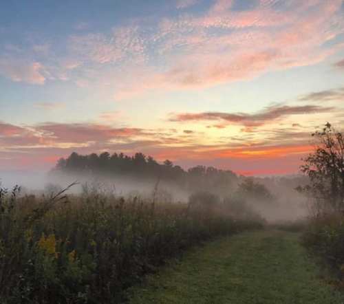 A serene landscape at dawn, featuring a misty path leading through fields with a colorful sky and distant trees.