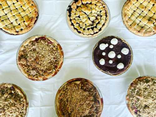 A variety of pies arranged on a table, including fruit, crumble, and chocolate varieties, all with different crust designs.