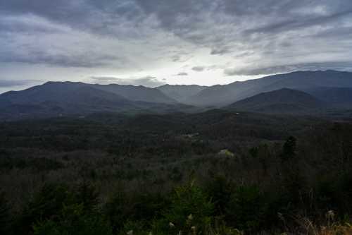 A panoramic view of misty mountains under a cloudy sky, with a dense forest in the foreground.