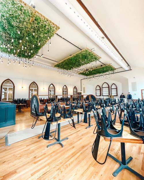 A spacious room with stacked black chairs, wooden floors, and hanging greenery above, creating a modern, airy atmosphere.