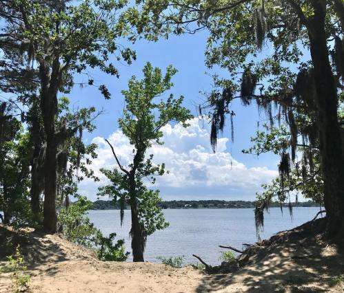 A serene view of a river framed by trees, with blue skies and fluffy clouds in the background.