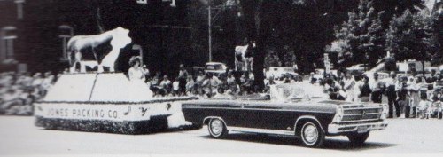 A vintage parade scene featuring a convertible car and a float with a cow statue, surrounded by a crowd.