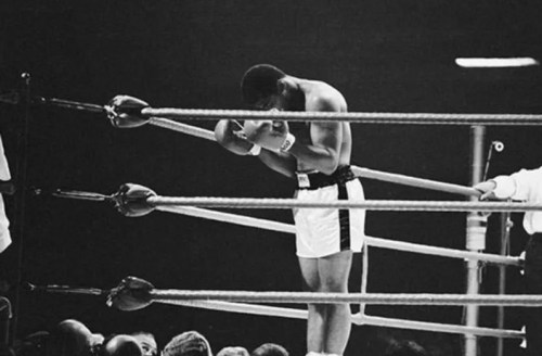 A boxer bows in the ring, resting against the ropes, with spectators visible in the foreground.