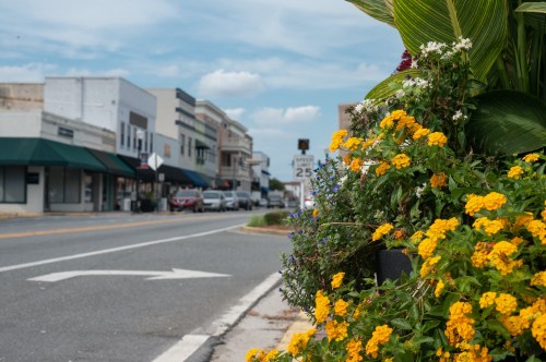 A street lined with shops and blooming yellow flowers in the foreground, under a partly cloudy sky.