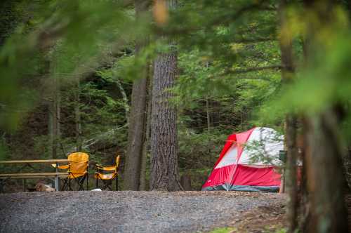 A red and white tent set up in a forested area, with two yellow camping chairs nearby.