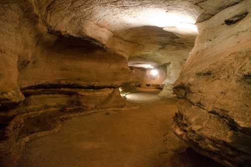 A dimly lit cave interior with smooth, curved rock formations and a winding path.