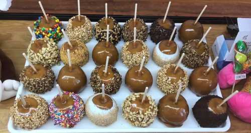 A variety of caramel apples coated in different toppings, arranged neatly on a tray.