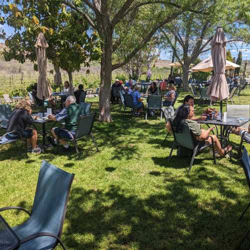 People dining outdoors under trees at a vineyard, enjoying a sunny day with tables and umbrellas.
