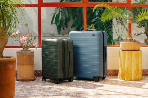 Two stylish suitcases, one green and one blue, are placed beside potted plants in a bright, airy indoor space.