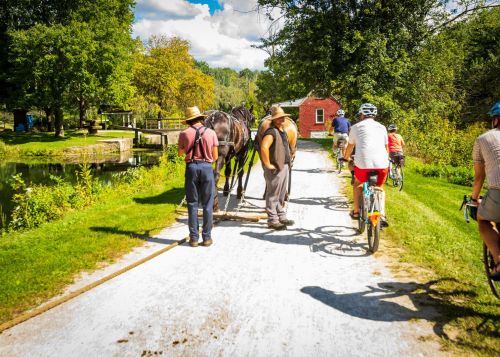 Two people with a horse and cart on a path, while cyclists pass by in a scenic, green landscape.