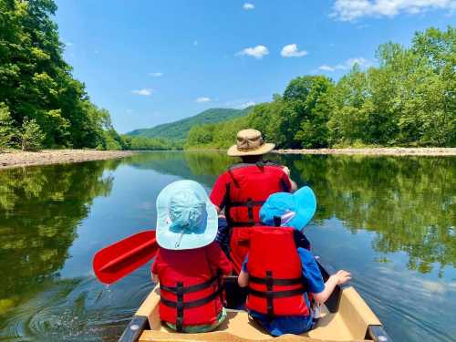 A family paddles a canoe on a calm river surrounded by lush green trees and mountains under a clear blue sky.