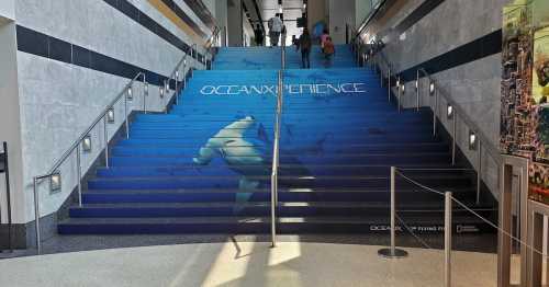 Staircase with a blue ocean-themed mural featuring a swimmer, labeled "OCEANXPERIENCE." People walking up the stairs.