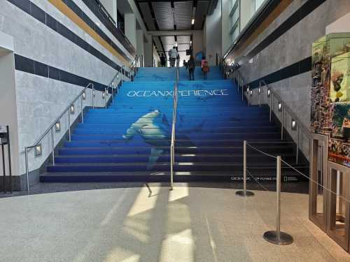 Staircase with a blue mural featuring a swimmer, leading to an exhibit titled "OCEANXperience."