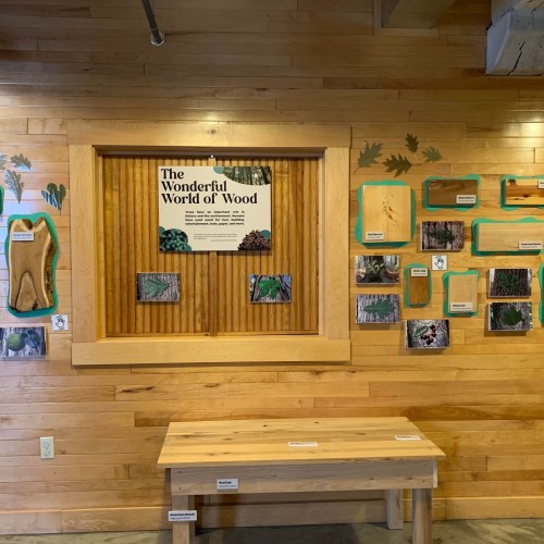 Exhibit titled "The Wonderful World of Wood" with wooden wall, photos, and a table in a natural history setting.
