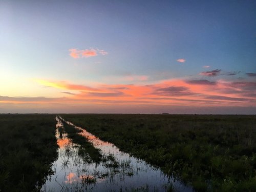 A serene landscape at sunset, featuring a colorful sky reflected in a water-filled path through a grassy field.