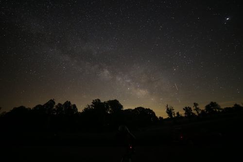 A starry night sky filled with the Milky Way, silhouetted trees in the foreground, and a faint shooting star.
