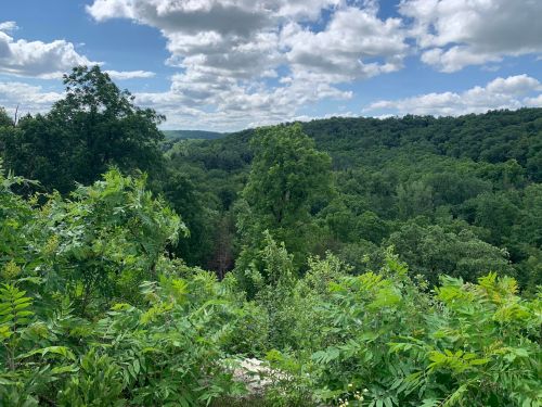 Lush green landscape with trees and rolling hills under a partly cloudy sky.