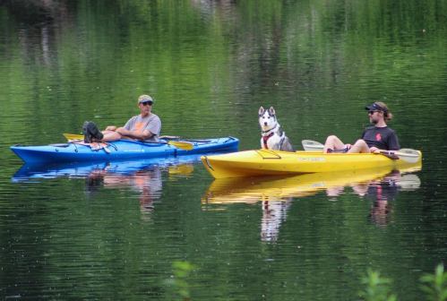 Two people in kayaks on a calm lake, one with a dog, surrounded by lush greenery.
