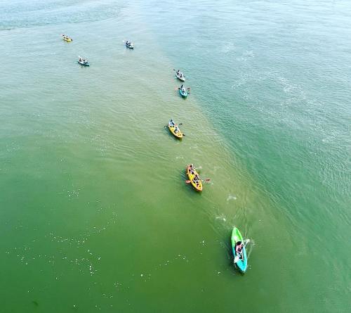 Aerial view of kayakers paddling in a river, with several colorful kayaks moving in a line across the water.