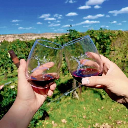 Two hands clink wine glasses filled with red wine against a backdrop of vineyards and a blue sky.