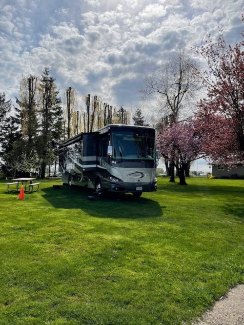 A large RV parked on green grass, surrounded by trees and blooming flowers under a partly cloudy sky.
